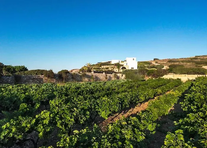 Blue Villa Parikia (Paros)